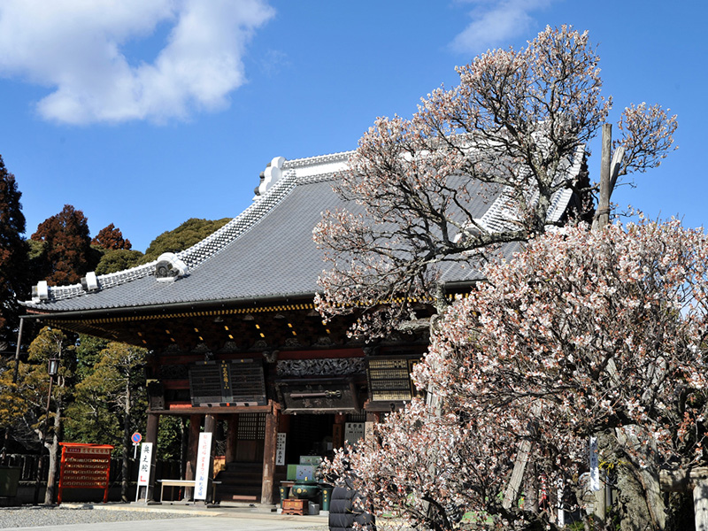 成田山新勝寺
